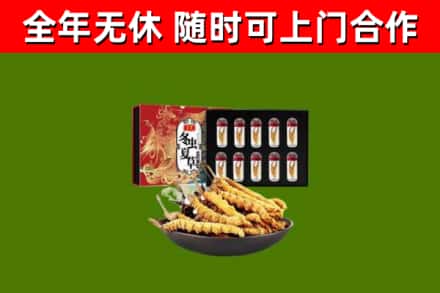 琅琊回收冬虫夏草价格